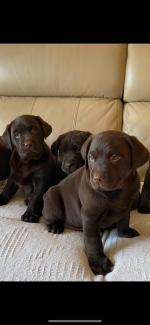 Ta9farmvvt5n M Ta9farmvvt5n M